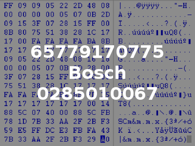 65779170775 Bosch 0285010067