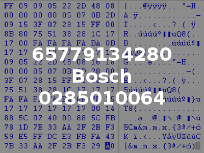 65779134280 Bosch 0285010064