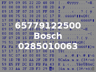 65779122500 Bosch 0285010063