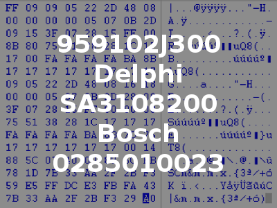 959102J300 Delphi SA3108200 Bosch 0285010023