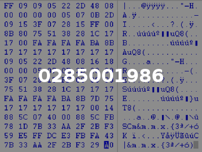 0285001986