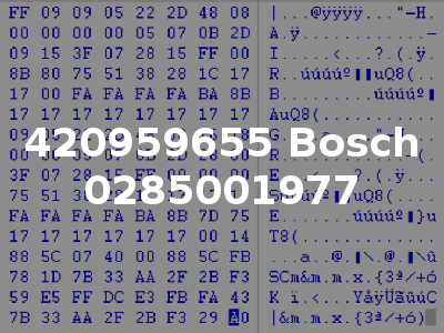 420959655 Bosch 0285001977