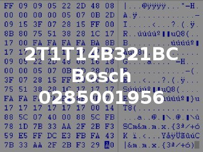 2T1T14B321BC Bosch 0285001956