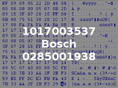 1017003537 Bosch 0285001938
