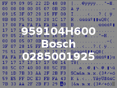 959104H600 Bosch 0285001925