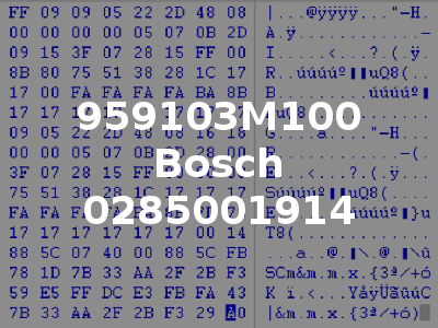 959103M100 Bosch 0285001914