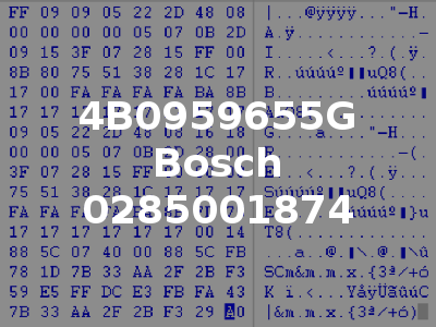 4B0959655G Bosch 0285001874