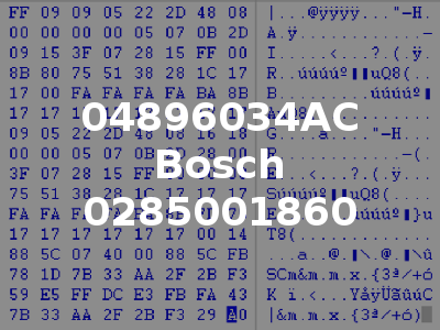 04896034AC Bosch 0285001860
