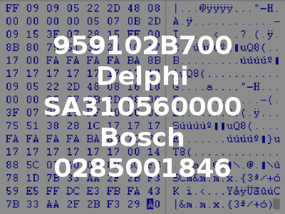 959102B700 Delphi SA310560000 Bosch 0285001846