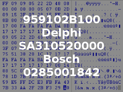 959102B100 Delphi SA310520000 Bosch 0285001842