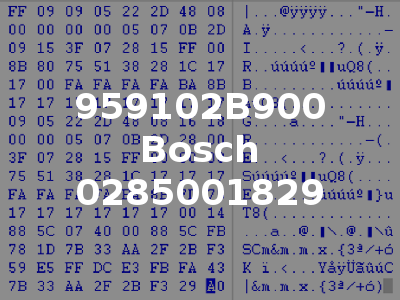 959102B900 Bosch 0285001829