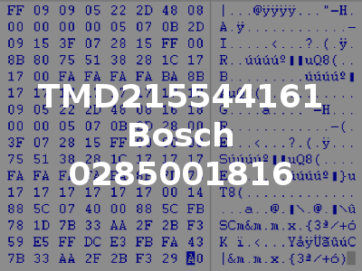 TMD215544161 Bosch 0285001816