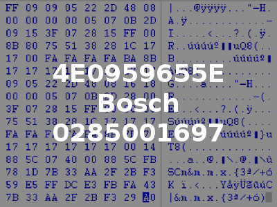 4E0959655E Bosch 0285001697