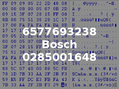 6577693238 Bosch 0285001648