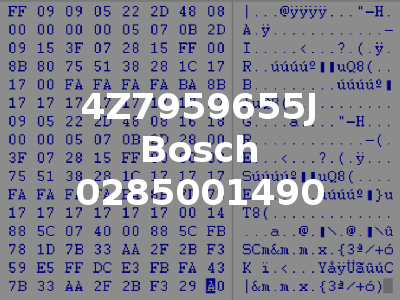 4Z7959655J Bosch 0285001490