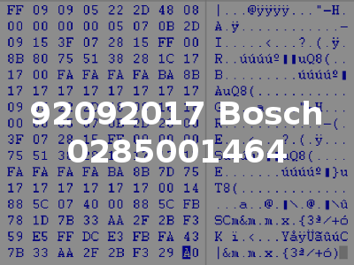 92092017 Bosch 0285001464