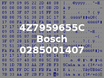 4Z7959655C Bosch 0285001407