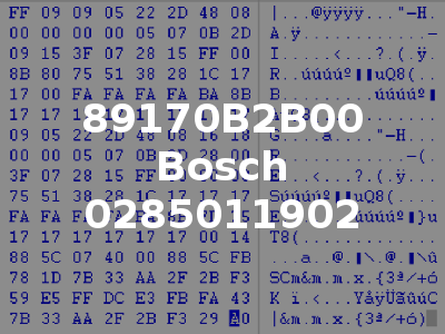 89170B2B00 Bosch 0285011902