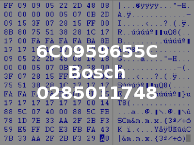 6C0959655C Bosch 0285011748