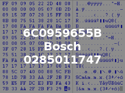 6C0959655B Bosch 0285011747