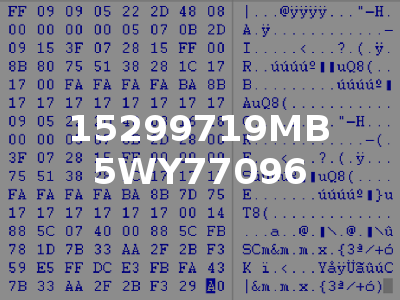 15299719MB 5WY77096