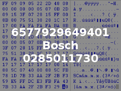 6577929649401 Bosch 0285011730