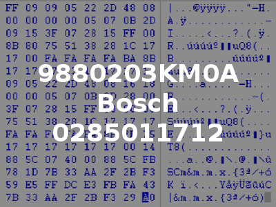 9880203KM0A Bosch 0285011712