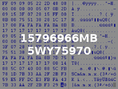 15796966MB 5WY75970