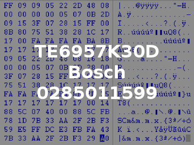 TE6957K30D Bosch 0285011599