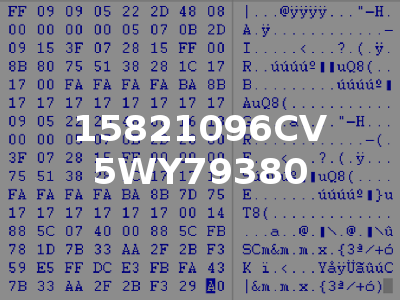 15821096CV 5WY79380