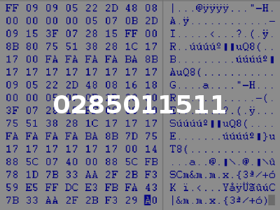 0285011511