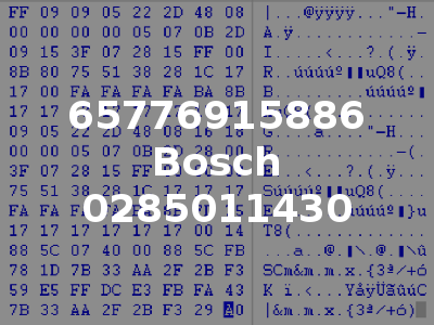 65776915886 Bosch 0285011430
