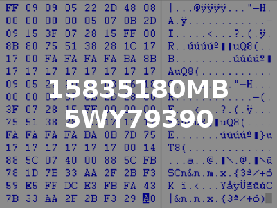 15835180MB 5WY79390
