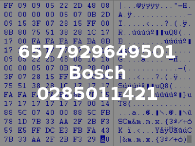 6577929649501 Bosch 0285011421