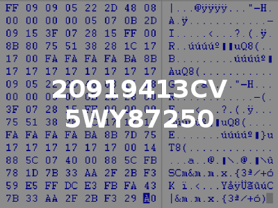 20919413CV 5WY87250