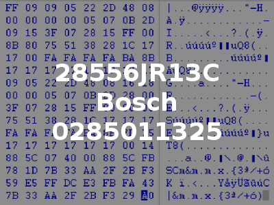 28556JR13C Bosch 0285011325