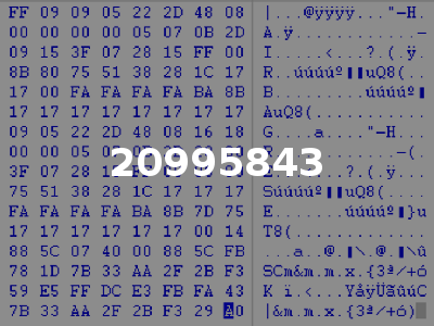 20995843