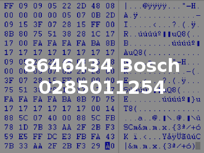8646434 Bosch 0285011254