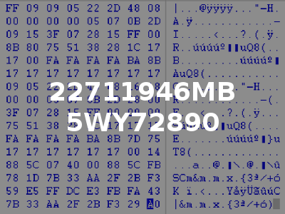 22711946MB 5WY72890