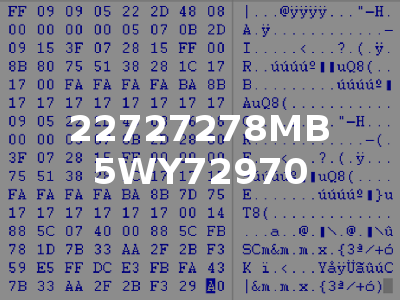 22727278MB 5WY72970