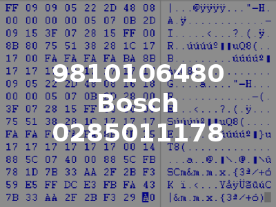 9810106480 Bosch 0285011178