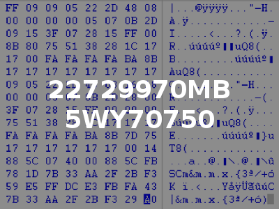 22729970MB 5WY70750