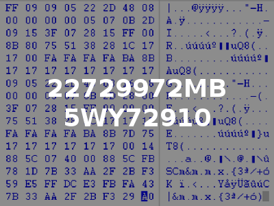 22729972MB 5WY72910