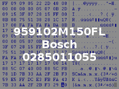 959102M150FL Bosch 0285011055