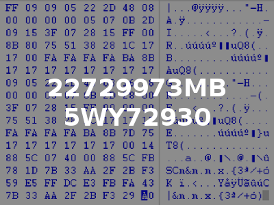 22729973MB 5WY72930
