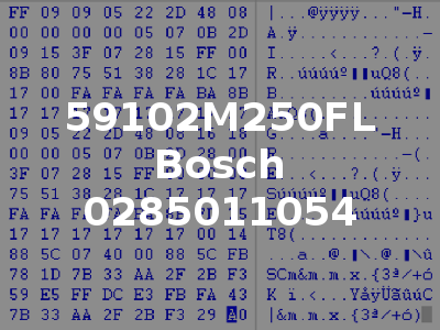 59102M250FL Bosch 0285011054