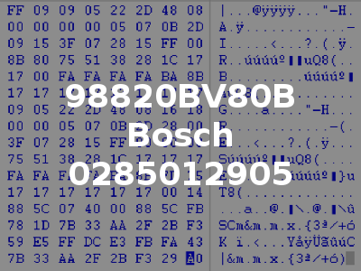 98820BV80B Bosch 0285012905