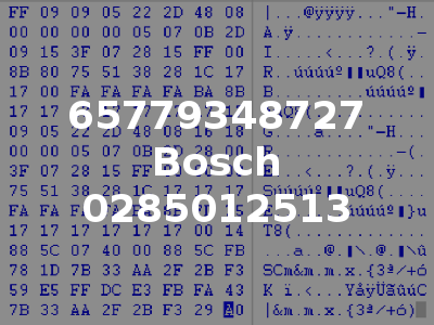 65779348727 Bosch 0285012513