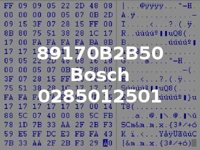 89170B2B50 Bosch 0285012501
