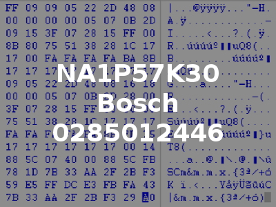 NA1P57K30 Bosch 0285012446